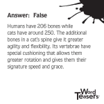 WordTeasers: About Cats - Image 4