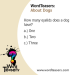 WordTeasers: About Dogs - Image 3