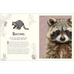 An Anthology of Intriguing Animals (DK Children's Anthologies) - Image 2