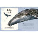 An Anthology of Intriguing Animals (DK Children's Anthologies) - Image 3