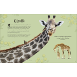 An Anthology of Intriguing Animals (DK Children's Anthologies) - Image 4