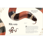 An Anthology of Intriguing Animals (DK Children's Anthologies) - Image 6