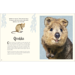 An Anthology of Intriguing Animals (DK Children's Anthologies) - Image 7