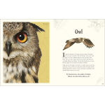 An Anthology of Intriguing Animals (DK Children's Anthologies) - Image 8