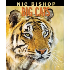 Big Cats-by-Scholastic