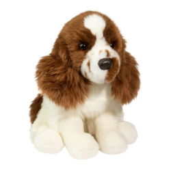 Chip Springer Spaniel-by-Douglas