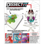 Dissect It Synthetic Frog Lab Kit - Image 2
