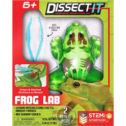 Dissect It Synthetic Frog Lab Kit-by-Tangle Creations
