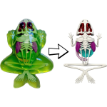 Dissect It Synthetic Frog Lab Kit - Image 4