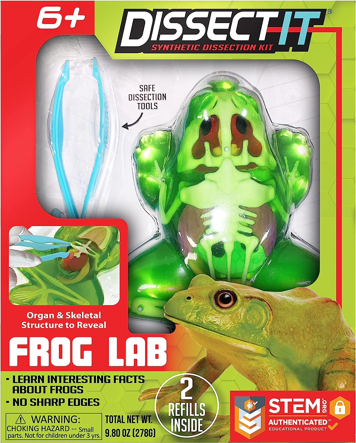 Dissect It Synthetic Frog Lab Kit Dissect It Synthetic Frog Lab Kit-by-Tangle Creations