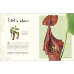 The Wonders of Nature (DK Children's Anthologies) - Image 4