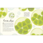 The Wonders of Nature (DK Children's Anthologies) - Image 5
