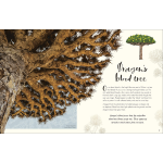 The Wonders of Nature (DK Children's Anthologies) - Image 6