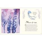 The Wonders of Nature (DK Children's Anthologies) - Image 7