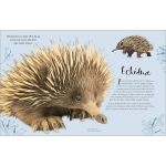 The Wonders of Nature (DK Children's Anthologies) - Image 9