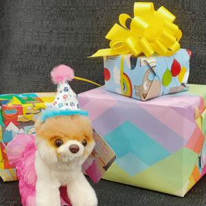 Plush dog with party hat posing with educational birthday gifts for smart kids