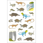 Nature Anatomy Sticker Book - Image 4