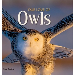 Our Love of Owls-by-Adventure Keen
