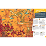 Seek and Find: Dinosaurs - Image 5