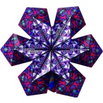 Shashibo - Chaos - Image 2