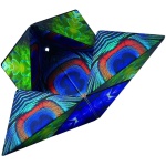 Shashibo - Wings - Image 2