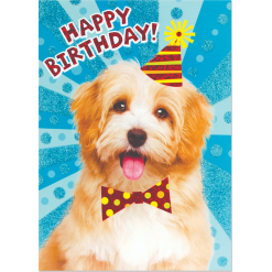 Dog with Party Hat Birthday Card-by-Peaceable Kingdom