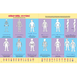 The Human Body Activity Book - Image 4
