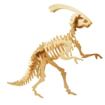 Wooden Parasaurolophus Skeleton - Image 2