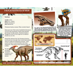 Wooden Parasaurolophus Skeleton - Image 3