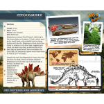 Wooden Stegosaurs Skeleton - Image 3