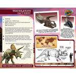 Wooden Triceratops Skeleton - Image 3