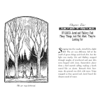 The Seeing Stone (2) (The Spiderwick Chronicles) - Image 5