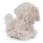 Boo & Friends Maltipoo 5" - Image 4