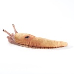 Mini Banana Slug Finger Puppet - Image 3