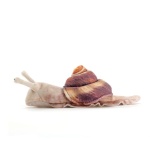 Mini Snail Finger Puppet - Image 3