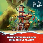 Ninjago Temple of The Dragon Energy Cores - Image 2