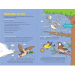 100 Questions About Birds - Image 4