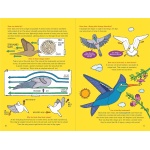 100 Questions About Birds - Image 5