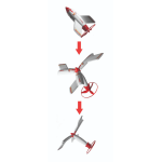 Hawk Rocket - Image 2