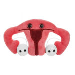 Plush Uterus - Image 2