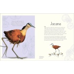 An Anthology of Aquatic Life - Image 3
