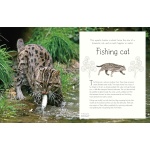 An Anthology of Aquatic Life - Image 5