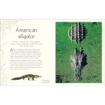 An Anthology of Aquatic Life - Image 6