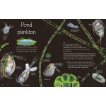 An Anthology of Aquatic Life - Image 7