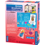 Gross Anatomy: Make-Your-Own Squishy Human Body - Image 2