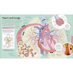 How Everything Works: From Brain Cells to Black Holes - Image 2