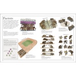Mammoth Math: Everything You Need to Know About Numbers - Image 3
