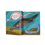 Animal FACTopia!: Follow the Trail of 400 Beastly Facts - Image 8
