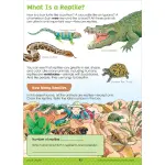 Big Science Grades 2-3 Workbook - Image 5
