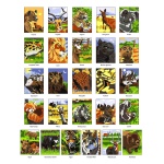 Creative Haven Wildlife Color by Number Coloring Book - Image 3